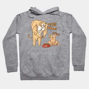 funny gym cat with little dog Hoodie